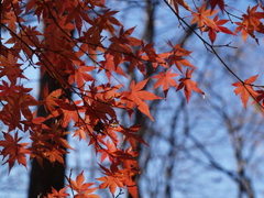 PC121336a