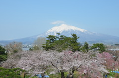 岩木山