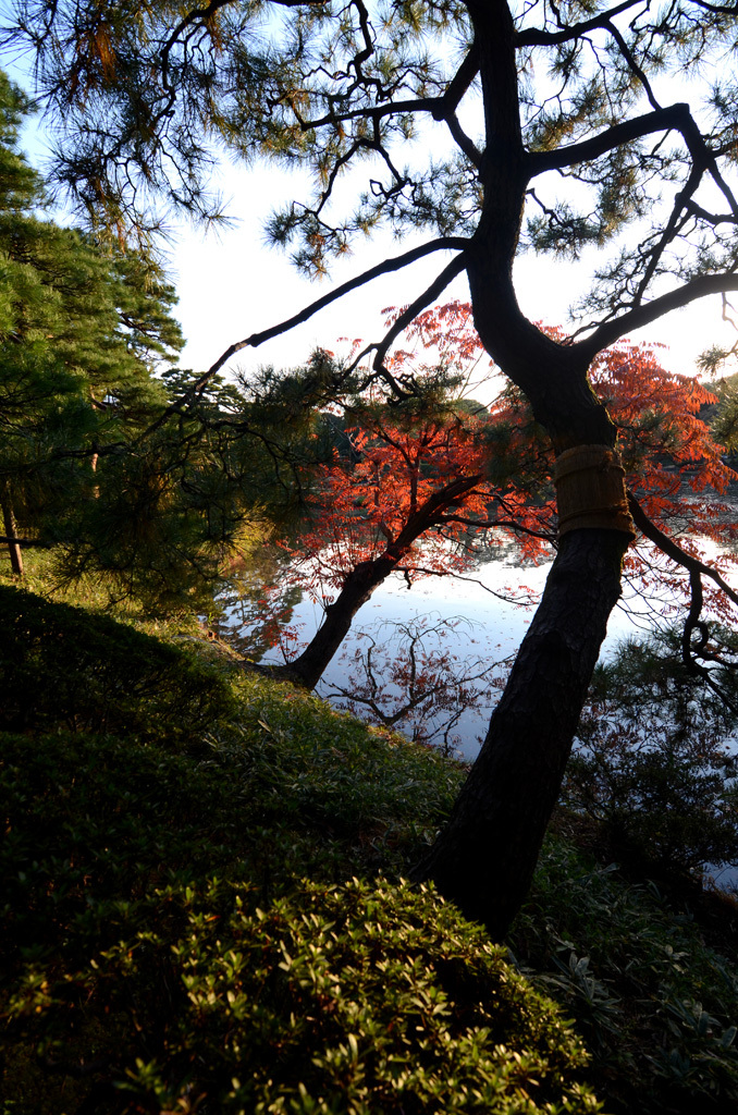 六義園・東京