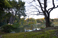 六義園・東京