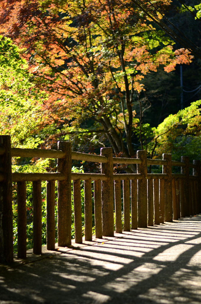 御岳山・東京