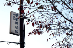 早稲田駅前商店会・東京