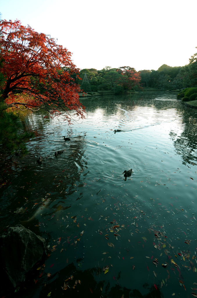 六義園・東京