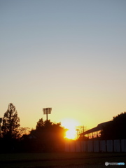 夕陽
