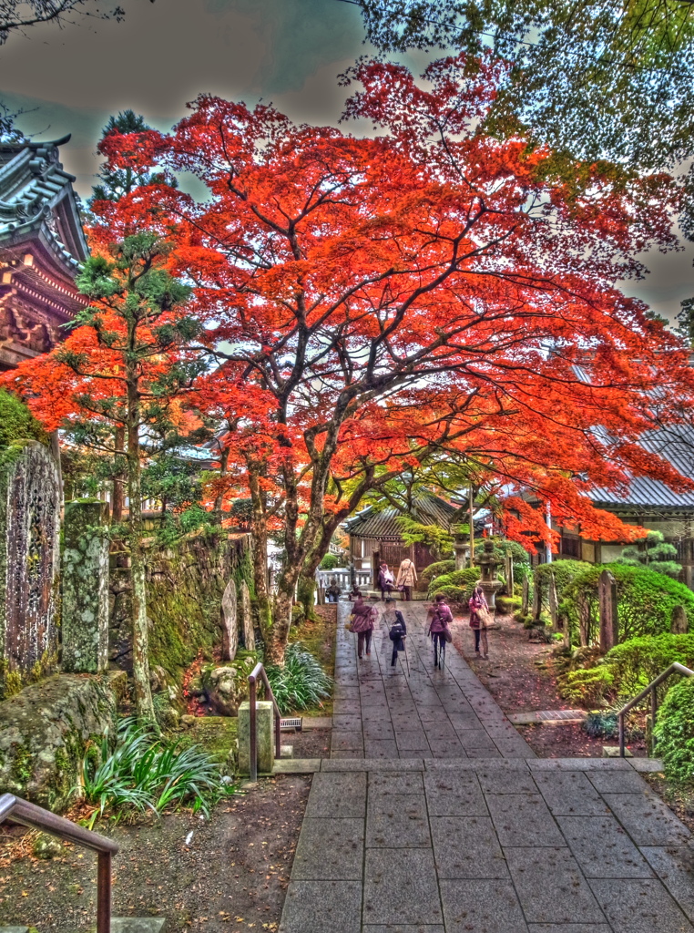 紅の散歩