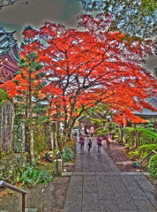紅の散歩