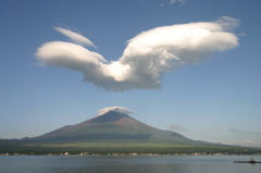富士と飛雲