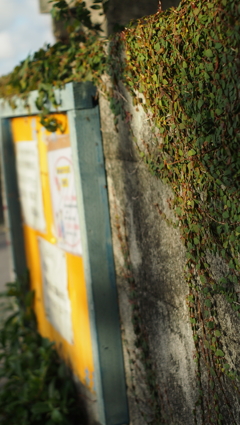 村