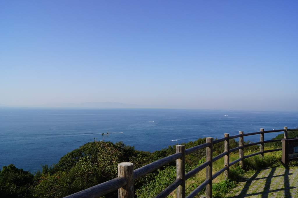 近所の海