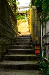 裏道
