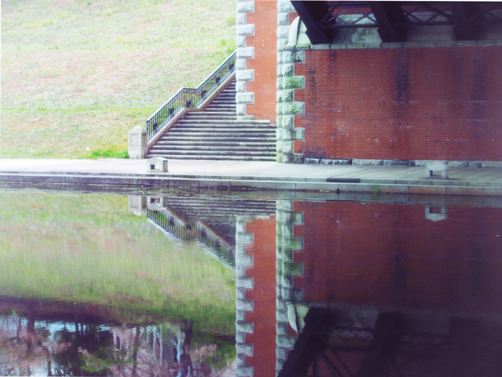 長池公園×f-zuiko 38mm f1.8　②