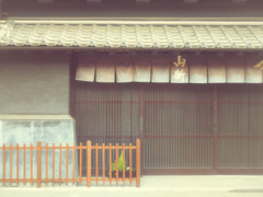 川越×f zuiko 38mm f1.8 ②