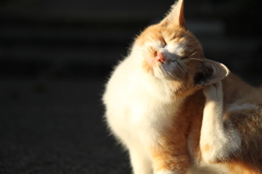気持ちいいー