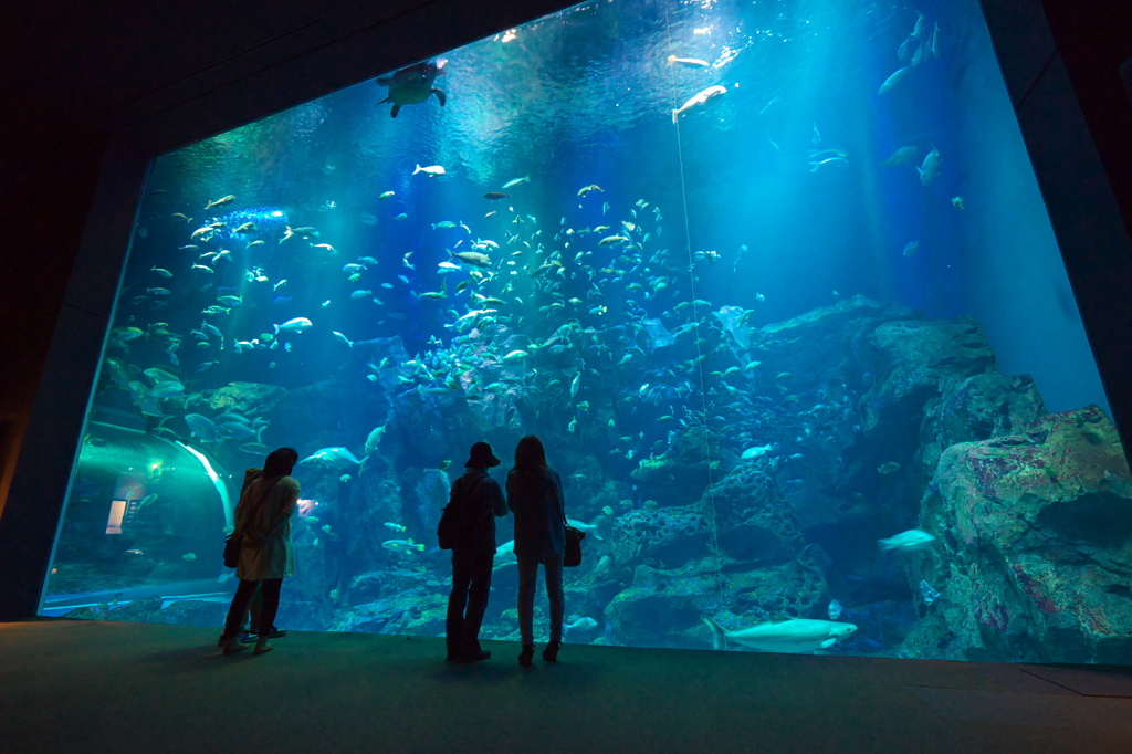 男鹿水族館