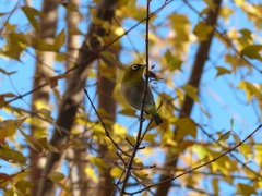 試し撮り2