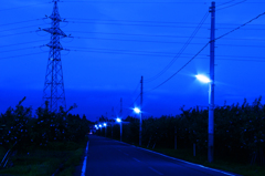 帰り道