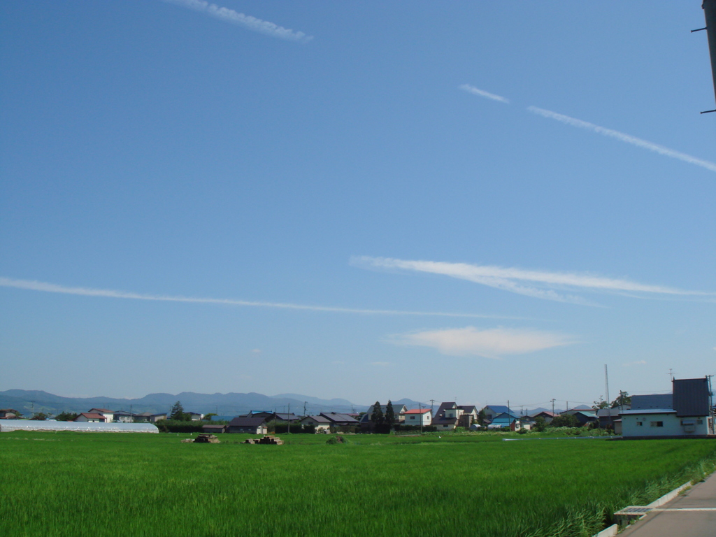 青と緑のコラボレーション