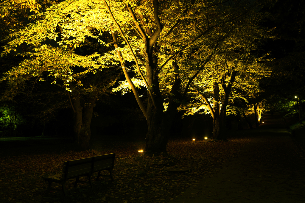 Yellow Loneliness