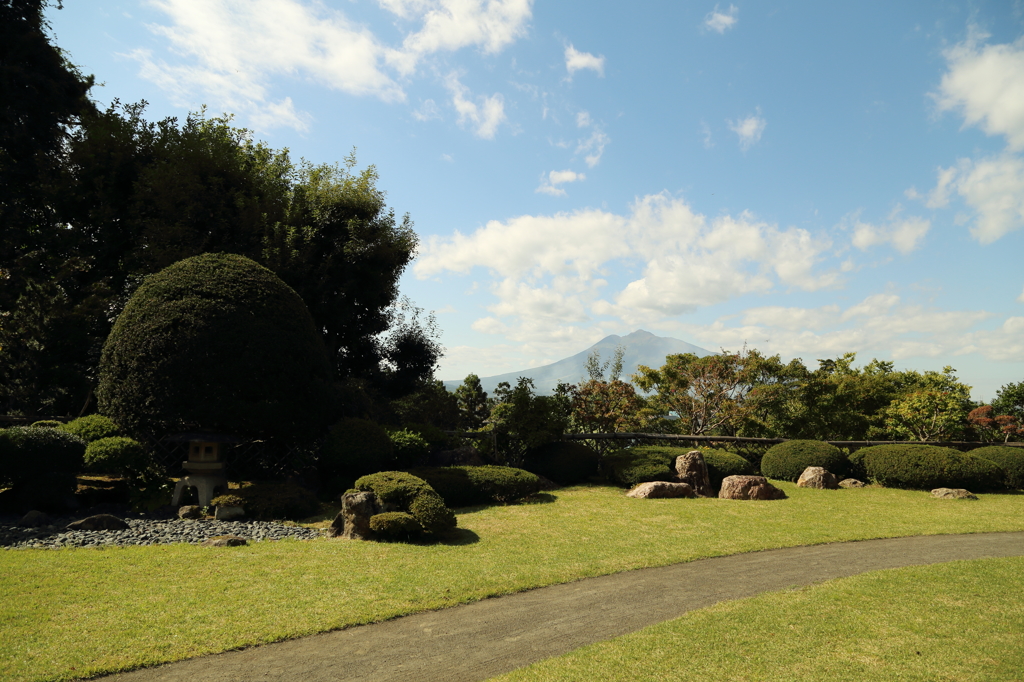 植木の美しさ　