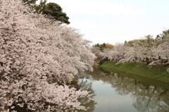 空が寂しい・・・