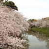 空が寂しい・・・