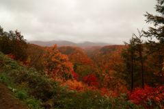 山粧う