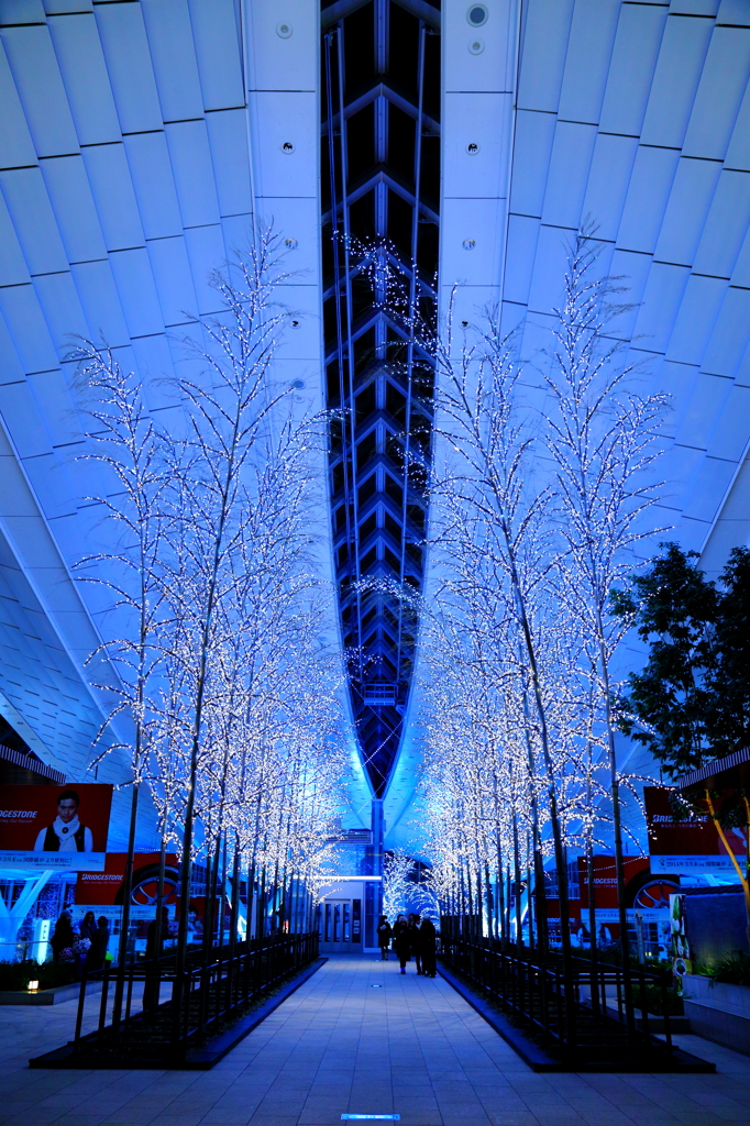 The tree of an airport