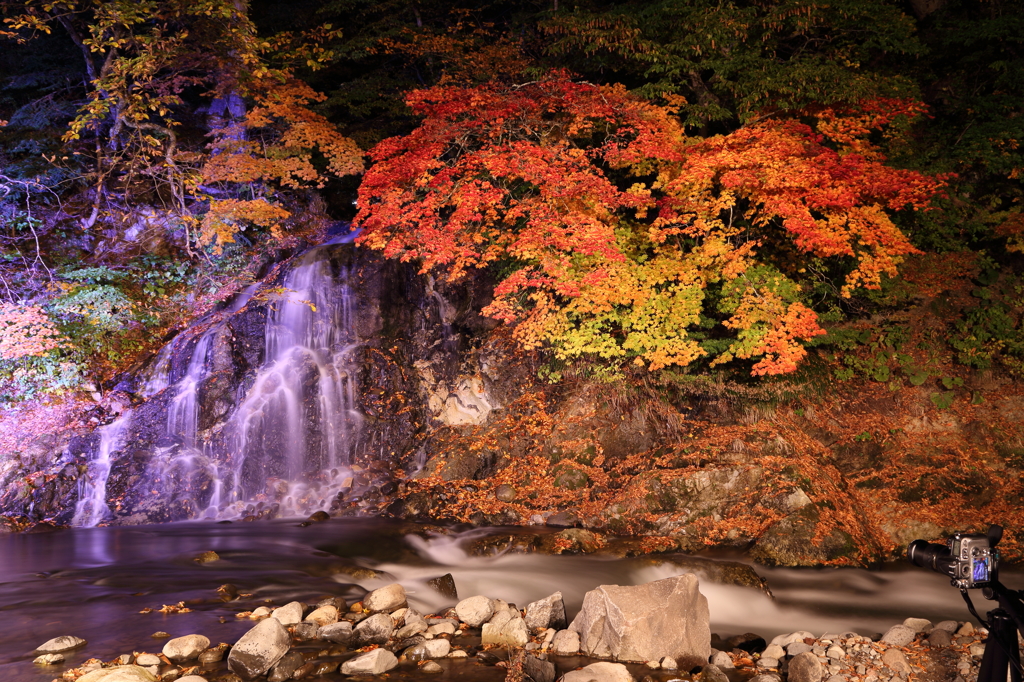 紅葉と滝とカメラ