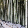 ＴＩＫＵＲＩＮ