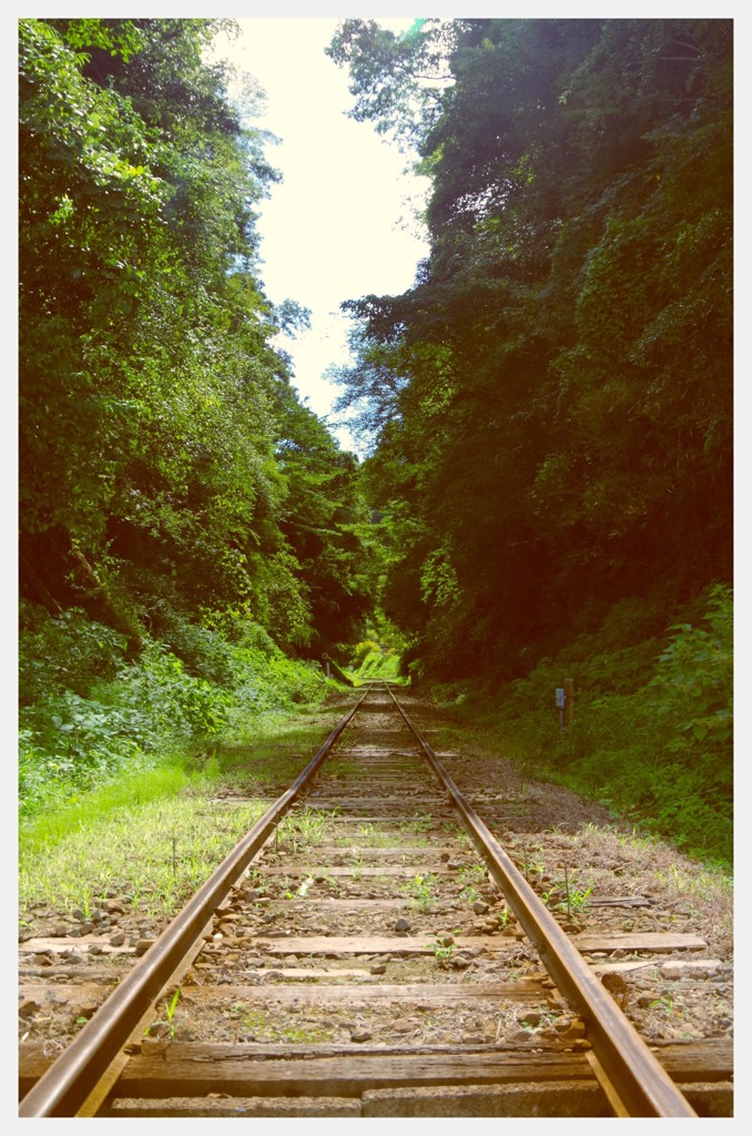 森のトンネルへ・・小湊鉄道 夏も終わりへ
