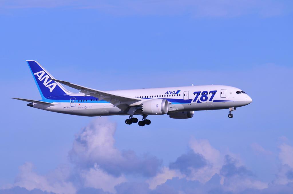 ANA B787ドリームライナー 京浜島から。。。