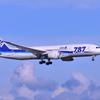 ANA B787ドリームライナー 京浜島から。。。