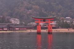 船の上から厳島神社を・・干潮