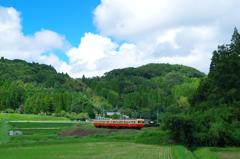 千葉の田園風景を見ながら・・・小湊鉄道