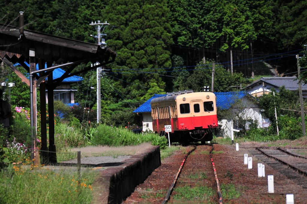のどかな風景に走っていく小湊鉄道・・キハ200