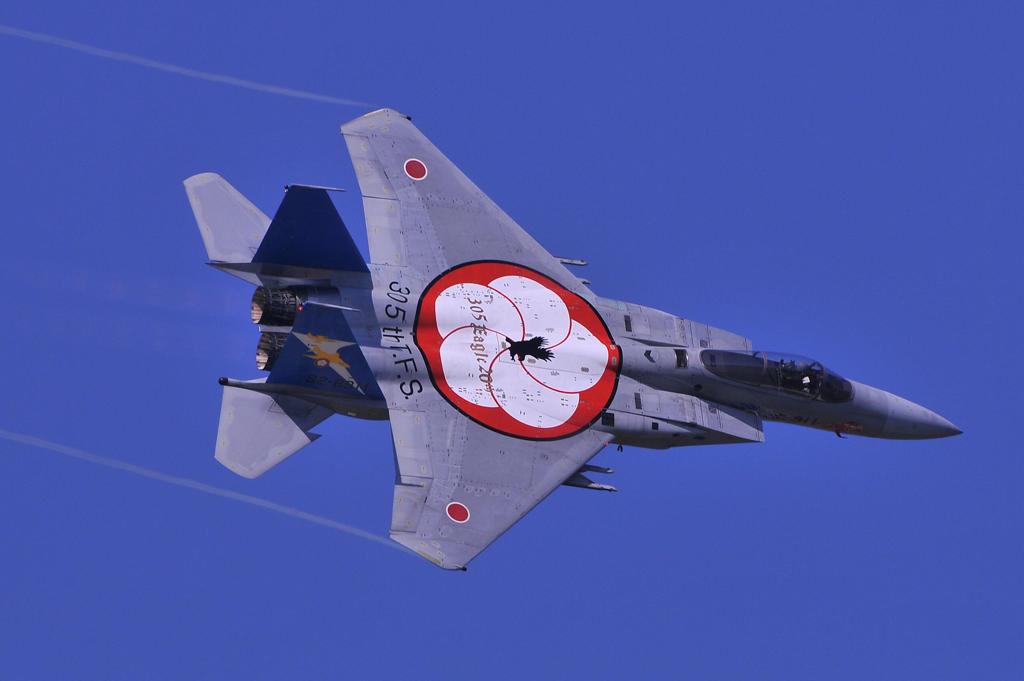 第305飛行隊F-15Jイーグル記念塗装機 機動飛行デモ・・・