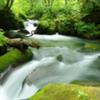 短い夏の奥入瀬渓流 阿修羅の流れ