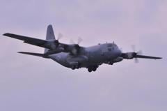 NAVY C-130Hハーキュリーズ輸送機・・朝の厚木基地