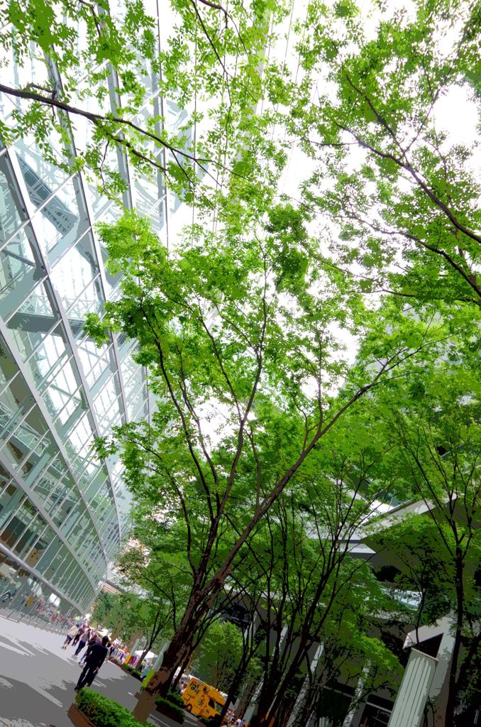 都会のビルの真ん中に。。新緑な木