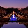 夕暮れ冬の昭和記念公園wintervistaイルミネーション2012