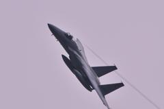 雨の中頭上をバイパー出して旋回する第306飛行隊F-15J・・小松基地航空祭20