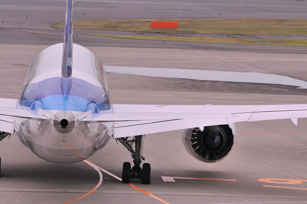 ANA B787のお尻。。。