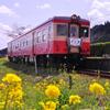 キハと菜の花・・そと房号