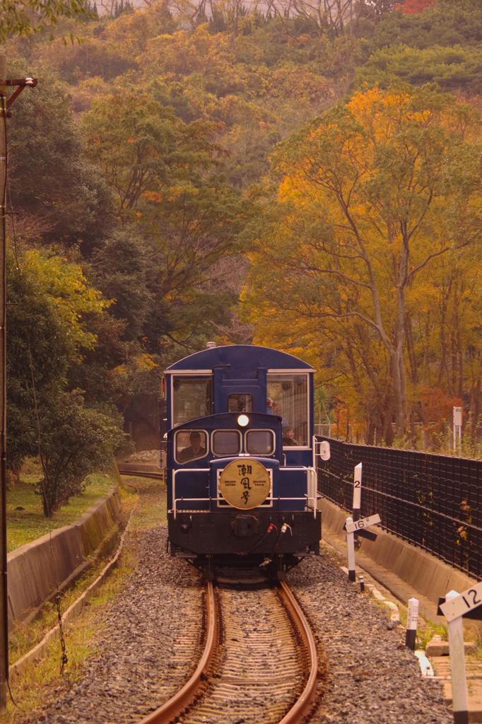 色づく門司の紅葉と走るレトロライン潮風号・・