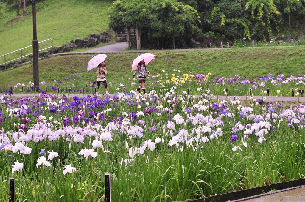 雨の中でも子供たちもはしゃぐ・・