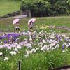 雨の中でも子供たちもはしゃぐ・・