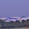 2012年の百里基地航空祭 第302飛行隊記念塗装機F-4ファントム