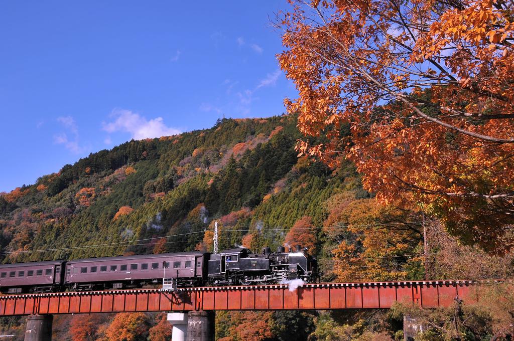 紅葉の大井川鉄道SL 家山鉄橋を颯爽と走る・・