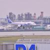 京浜工業地帯背景とANA B787ランディング。。
