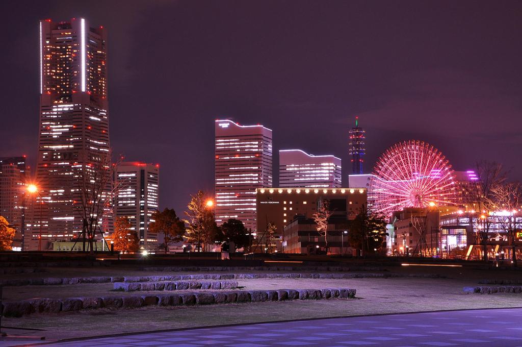 夜の公園からみなとみらいを・・